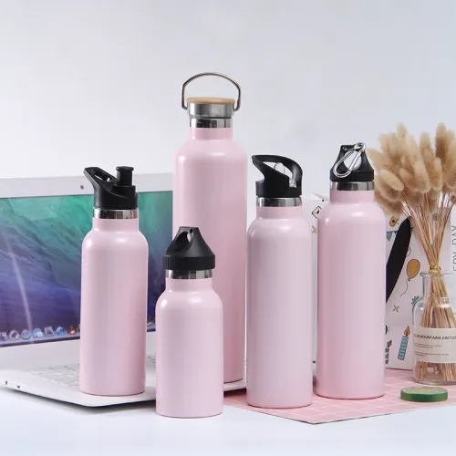 Vacuum Insulated Water Bottle Double Walled Stainless Steel Water Bottle with Carbineer EL-TM51